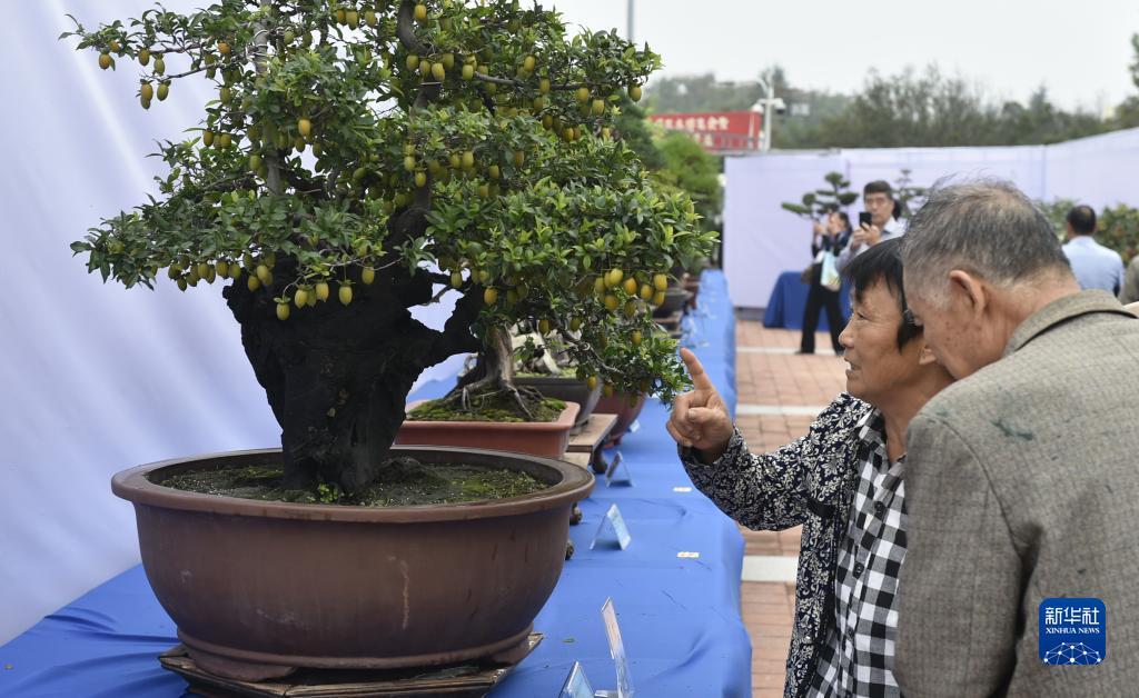 电子老虎机娱乐